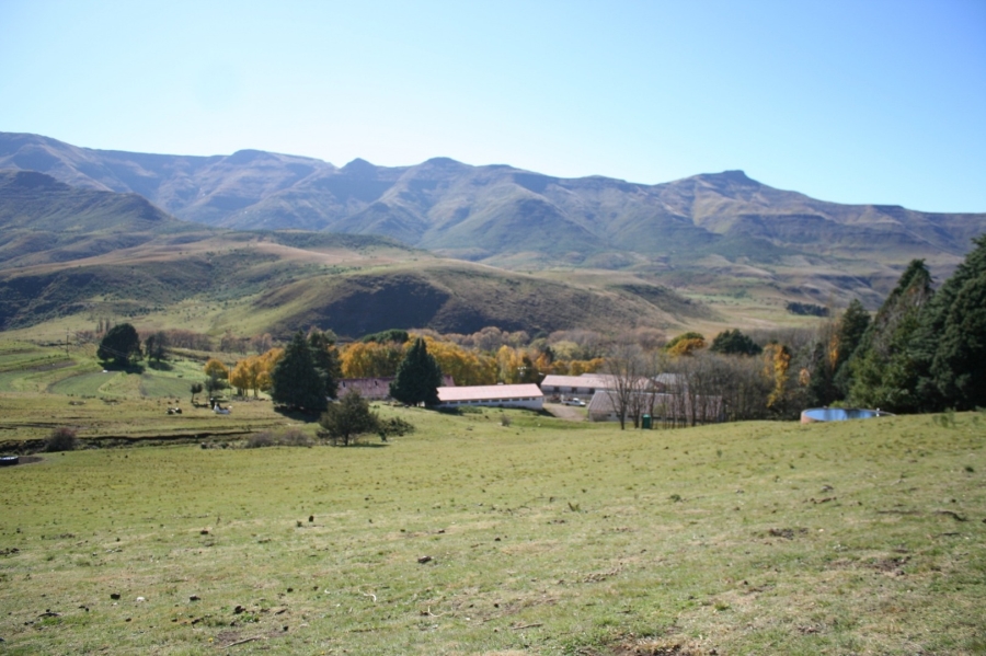 Commercial Property for Sale in Barkly East Eastern Cape